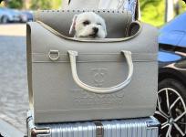 Travel bag